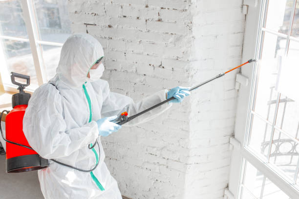 Why you should choose our mold remedi tion services in #city